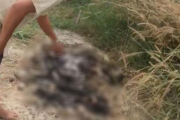 Vụ bộ xương người ở nghĩa trang vùng ven Sài Gòn: Nạn nhân đã chết cách đây vài tháng-1