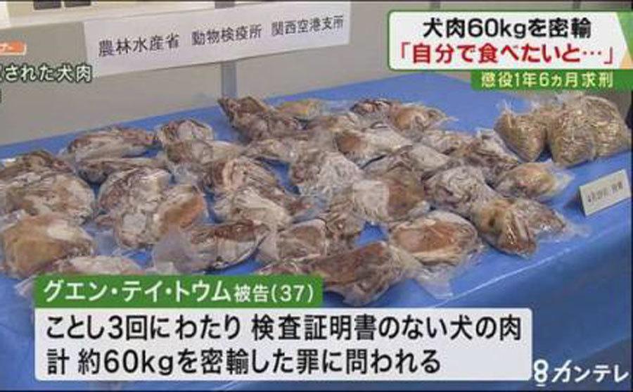 Mang 60 kg thịt chó sang Nhật, 1 phụ nữ Việt bị phạt tù-2