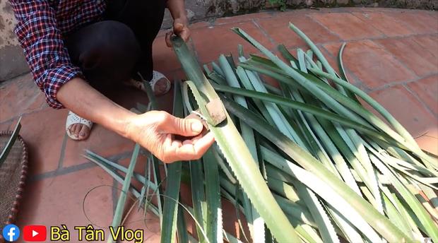 Giữa mùa đông giá lạnh, bà Tân Vlog cho ra là món thạch nhưng lại sử dụng lá dứa theo cách khác người-1
