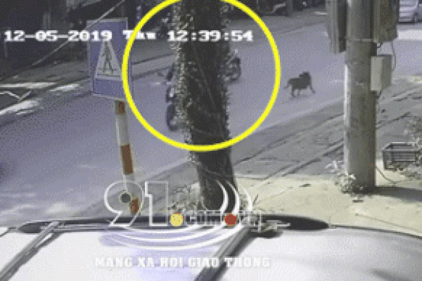 Clip: Người đàn ông suýt phải đổi mạng vì lấy thân mình làm dây chun giữ tôn trên thùng xe tải-2