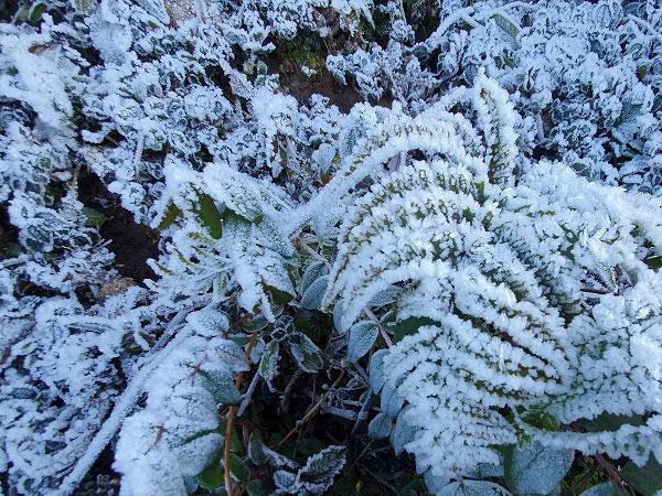 Đợt rét đậm đầu tiên có thể xuất hiện vào khoảng đầu tháng 1/2020-1