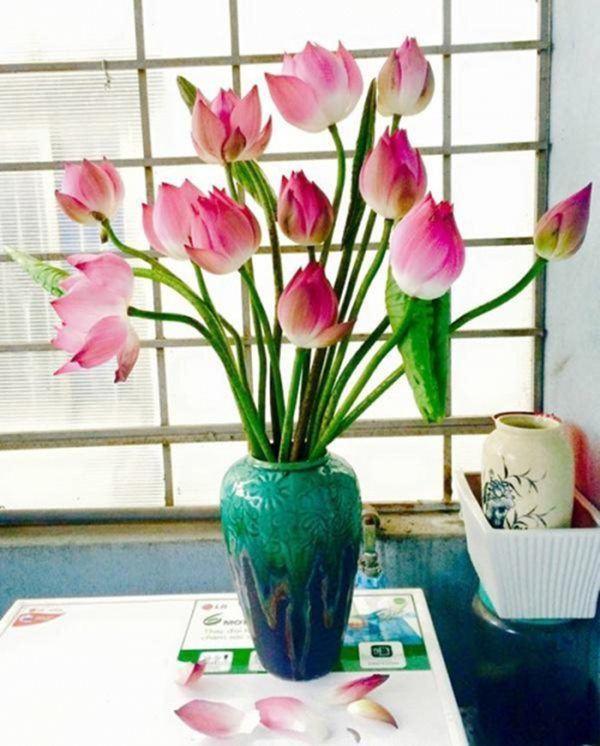 Cúng Rằm chọn đúng 5 loại hoa này, tiền tài tíu tít, buôn gì đắt nấy-1