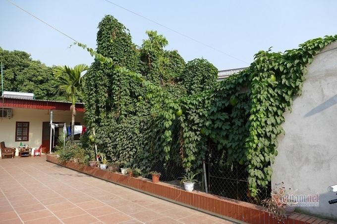 Căn nhà cấp 4, gắn liền với tuổi thơ chăn bò của cầu thủ Văn Hậu-10