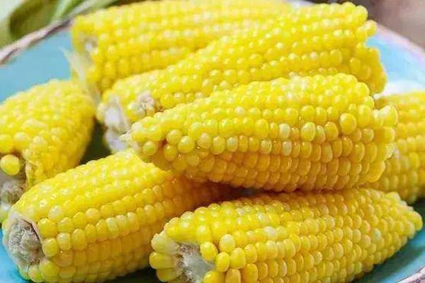 2 món ngon đưa cơm ngày lạnh, mỗi người ăn vài bát không chán-3