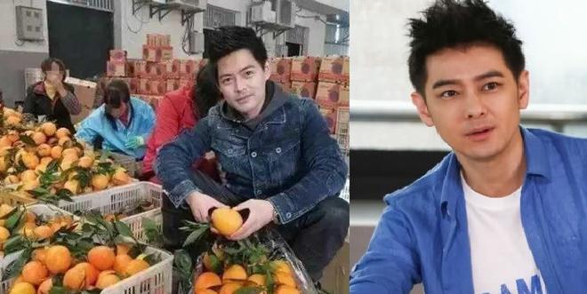 Những người đổi đời nhờ giống Châu Nhuận Phát, Angelababy-10