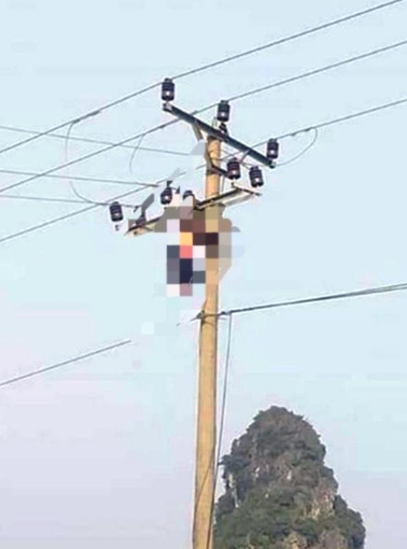 Người đàn ông chết treo trên đường điện 35 KV-1