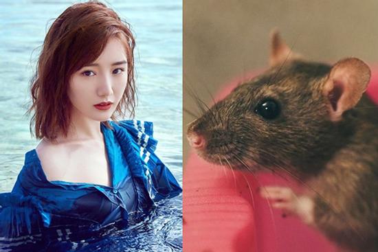 15 ngày nữa, những con giáp dưới đây cẩn thận thị phi, họa từ lời nói, tiền mất tật mang