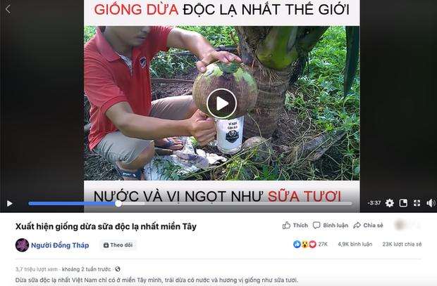 Thực hư món ăn dừa sữa độc lạ nhất miền Tây đang nổi như cồn trên Youtube khiến người người muốn thử-3