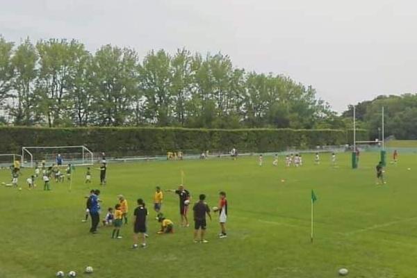 Trồng hoa cho thêm 1 viên thuốc này vào, cây tươi rói, tốt hơn cả phân bón-3