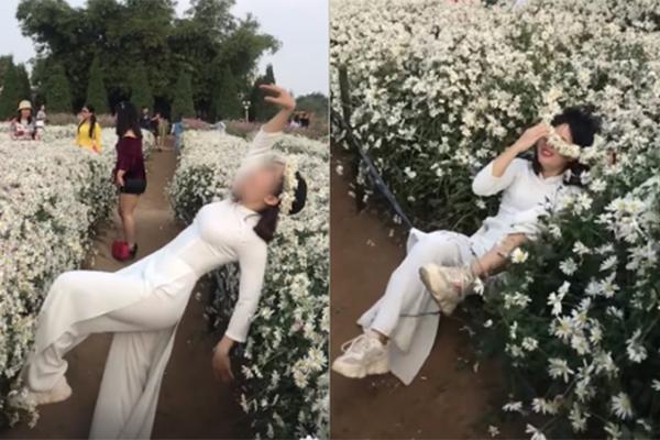 Định vị ngay những tọa độ chụp Cúc Họa Mi đẹp nhất Hà Nội vào mùa này-19