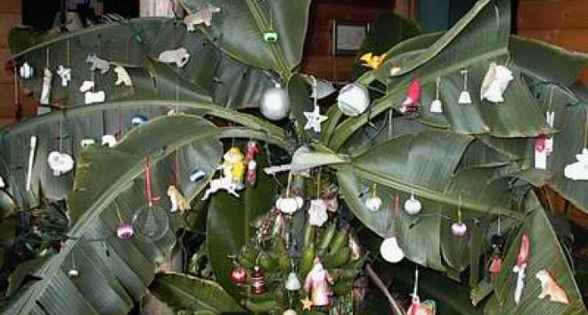 Cây thông Noel khiến dân mạng hò nhau tranh cãi kịch liệt, tất cả là do nguyên liệu đấy!-4