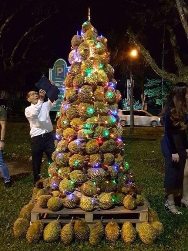 Cây thông Noel khiến dân mạng hò nhau tranh cãi kịch liệt, tất cả là do nguyên liệu đấy!-1