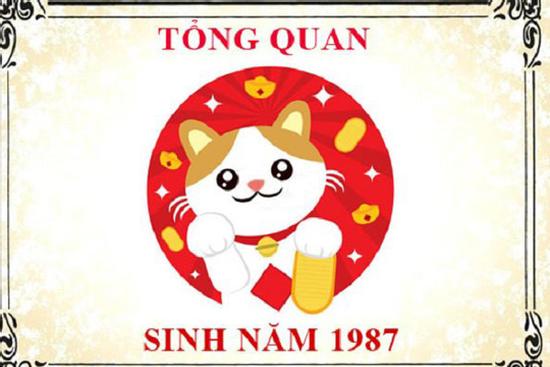 Sinh năm 1987 hợp màu gì? Cách chọn màu phong thủy giúp đem lại may mắn