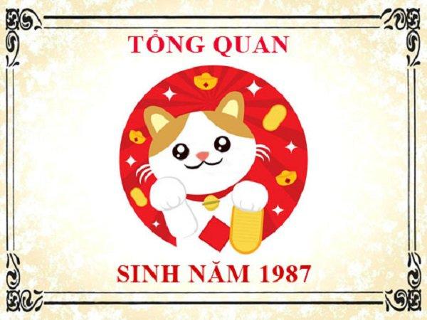 Sinh năm 1987 hợp màu gì? Cách chọn màu phong thủy giúp đem lại may mắn-1