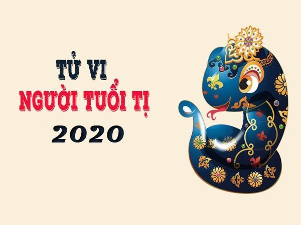 Tử vi tuổi Tỵ năm 2020: Sự nghiệp sa sút, mâu thuẫn gia đình liên miên, cần phải vững vàng-1