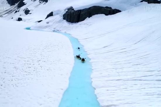 Ngồi trực thăng ngắm sông băng siêu thực ở Canada