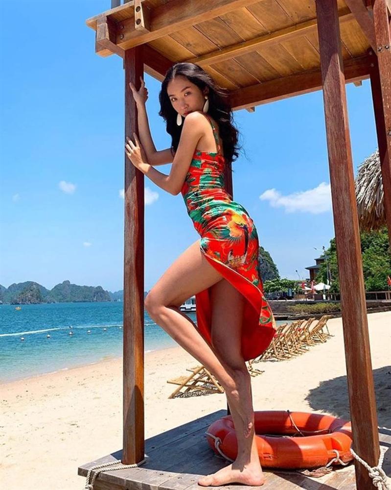 Dàn hoa khôi nổi bật nhất các trường đại học năm 2019-3