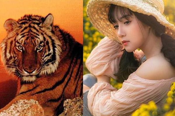 Tử vi tuần mới 12 con giáp từ 23/12/2019 - 29/12/2019: Ngọ mở rộng mối quan hệ, Thân sức khỏe giảm sút-5