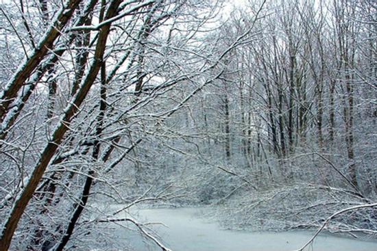 Xứ sở băng tuyết như bước ra từ Frozen 2 ở Trung Quốc