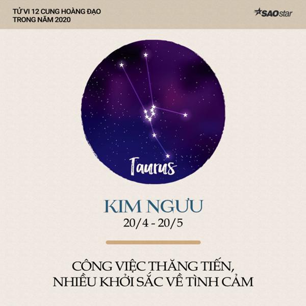 Xem tử vi cung Kim Ngưu năm 2020: Nhiều khởi sắc về tình cảm, sự nghiệp có khả năng sẽ rẽ hướng mới-1