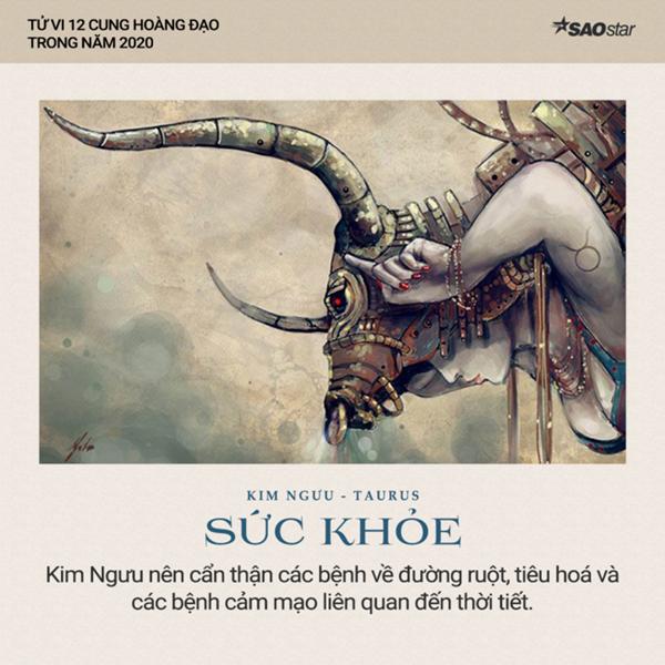 Xem tử vi cung Kim Ngưu năm 2020: Nhiều khởi sắc về tình cảm, sự nghiệp có khả năng sẽ rẽ hướng mới-4