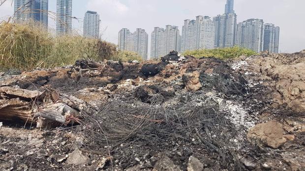 Đặc điểm nhận dạng nghi can giết người cướp tài sản, đốt xe phi tang ở Sài Gòn: Người Hàn Quốc, dáng thư sinh, da trắng, đeo kính cận-1