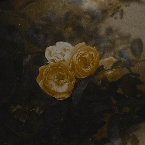 Tử vi thứ Ba ngày 24/12/2019 của 12 con giáp: Tỵ trục trặc tình duyên, Tuất triệt để tiết kiệm-4