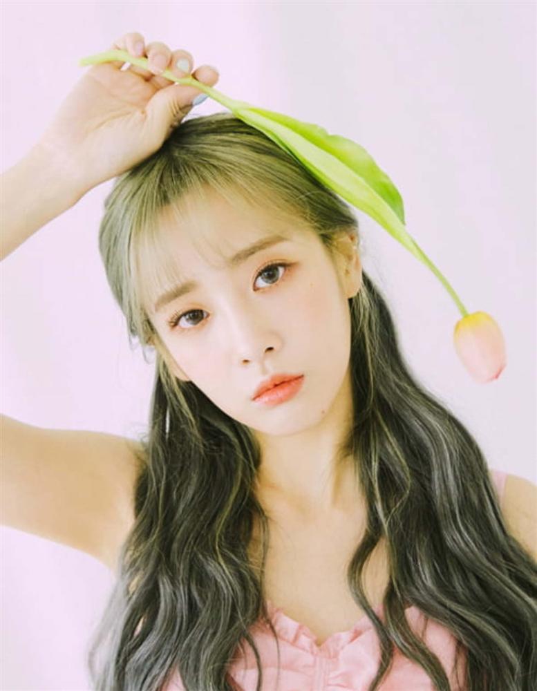 Tử vi thứ Năm ngày 26/12/2019 của 12 con giáp: Sửu được vài lời tán tỉnh, Mão kiêu ngạo trong công việc-1