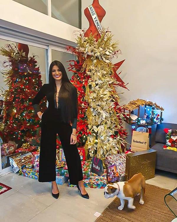 Á hậu 2 Hoa hậu Hoàn vũ 2018 - Sthefany Gutiérrez (Venezuela) tạo dáng bên cây thông Noel.