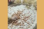 Cách làm món trứng vịt bắc thảo cổ truyền