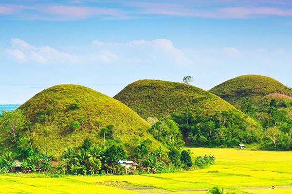 Quy luật cá lớn nuốt cá bé dưới đại dương-1