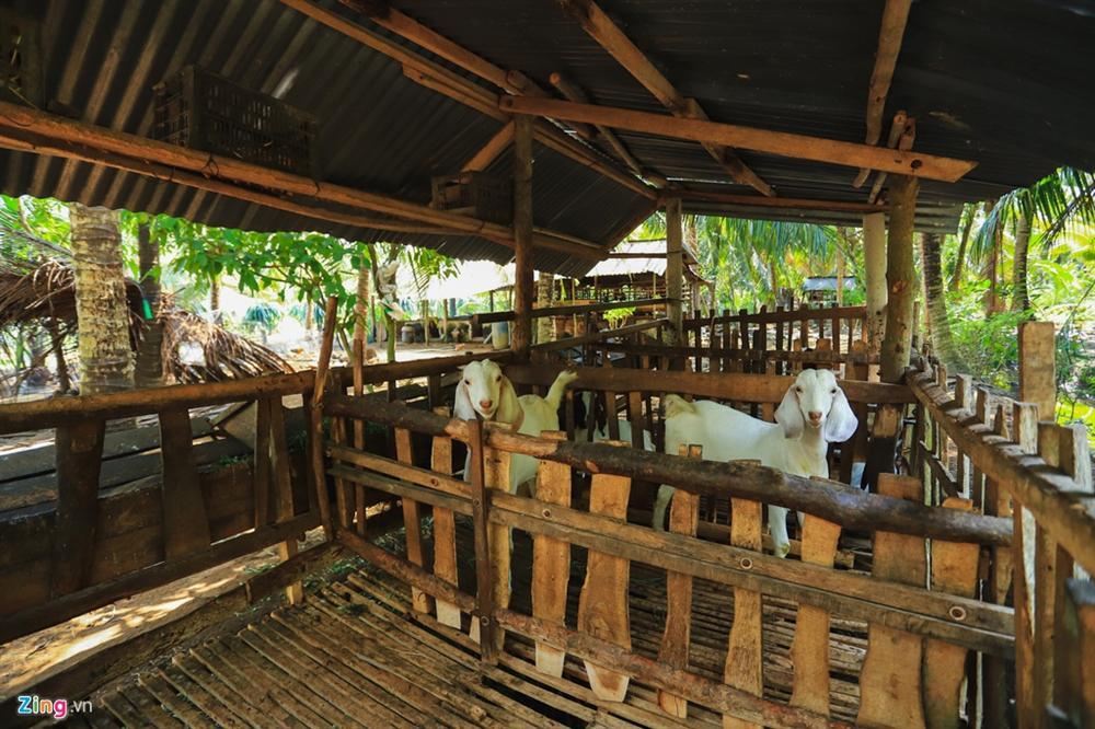 Nhà đơn sơ của gia đình Jack tại Bến Tre-6