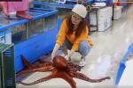 Màn sơ chế bạch tuộc nặng 13 kg của cô gái Hàn Quốc