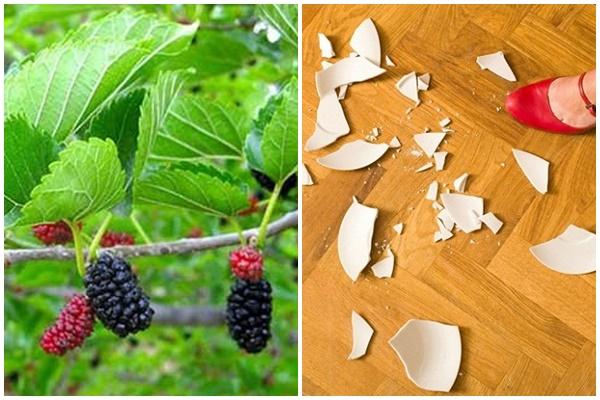 Tử vi thứ Bảy ngày 28/12/2019 của 12 con giáp: Tỵ lưu ý sức khỏe giảm sút, Mùi hăng say kiếm tiền không mệt mỏi-5