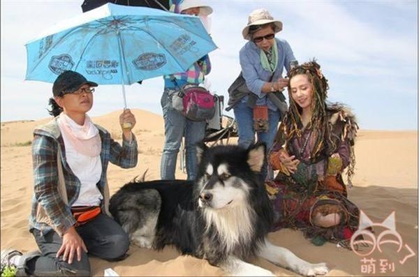 Phim Trung Quốc lừa cả tỷ khán giả bằng những chiêu điêu không tưởng thế này!-14