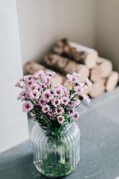 Tử vi thứ Bảy ngày 28/12/2019 của 12 con giáp: Tỵ lưu ý sức khỏe giảm sút, Mùi hăng say kiếm tiền không mệt mỏi-2