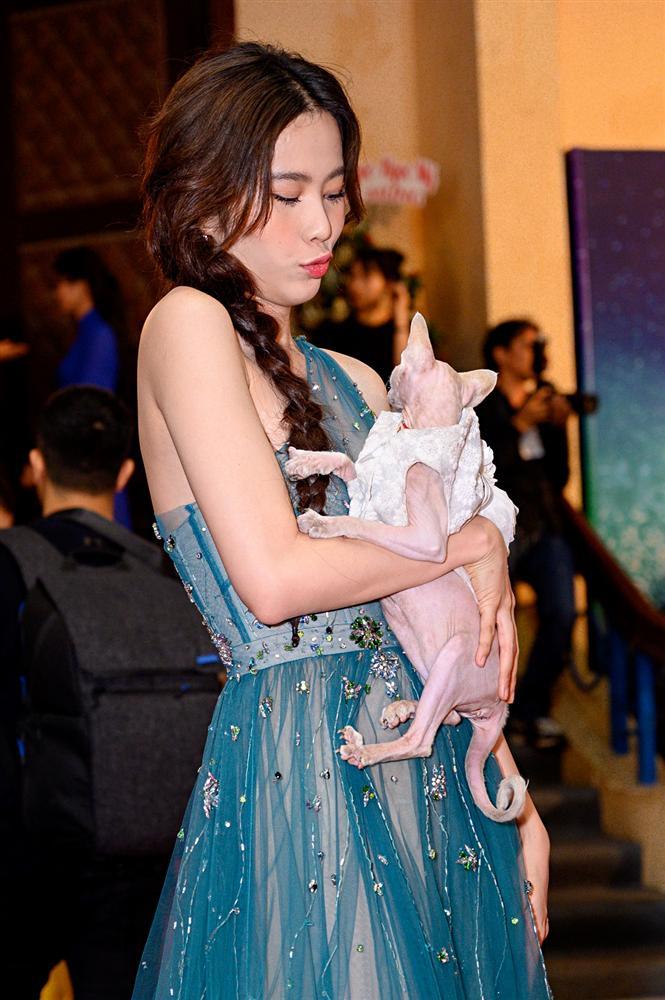 Chị em Nam Anh - Nam Em bế mèo không lông có giá bằng cả chiếc túi LV trên thảm đỏ Ngôi sao xanh-5