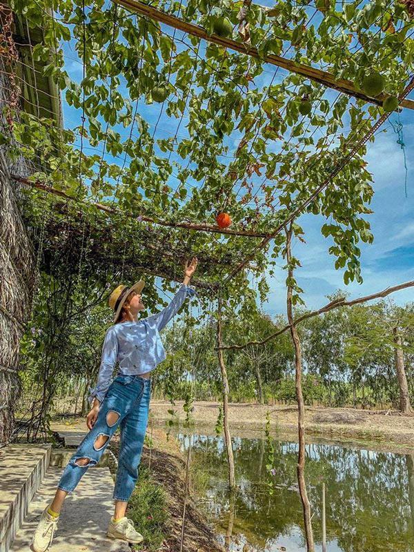 Minh Hằng diện lại quần đục lỗ lạ kỳ từ hơn năm trước-3