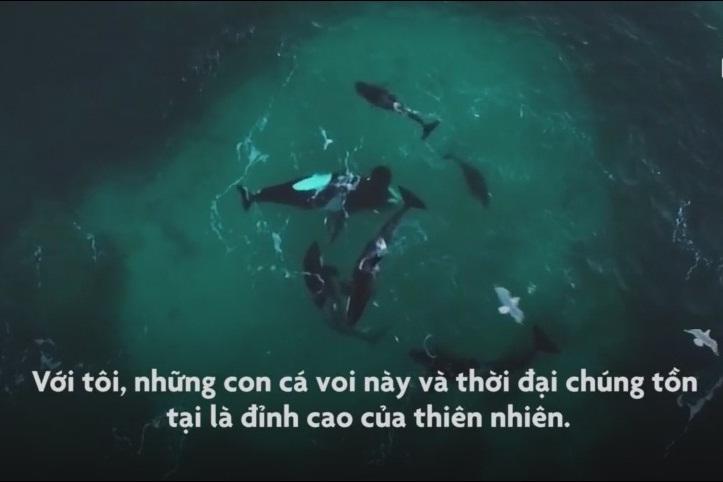 Ngôi làng cổ được bao phủ bởi mây và sương mù-1