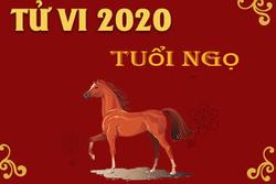 Tử vi tuổi Ngọ năm 2020: Sự nghiệp bị tiểu nhân ngáng đường, tình duyên trắc trở