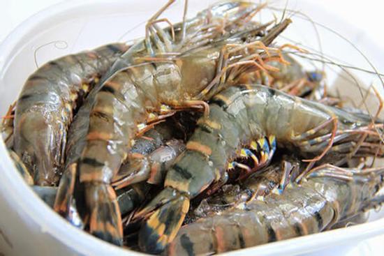 Bí quyết chọn được tôm tươi ngon hàng chuẩn, ai cũng nên biết