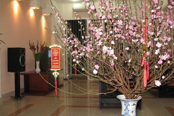 Những lời chúc hay, ý nghĩa cho Tết dương lịch-1