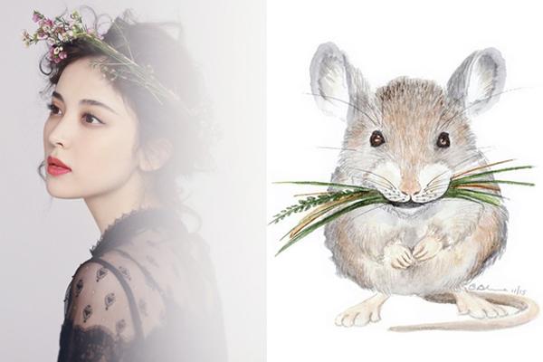 Tử vi thứ Tư ngày 1/1/2020 của 12 con giáp: Tý quá đỗi an nhàn, Tỵ túng thiếu đủ đường-6