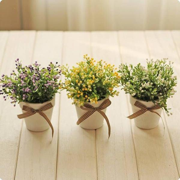 3 thứ đẹp mấy cũng không được để trên bàn làm việc kẻo sự nghiệp tuột dốc không phanh-2