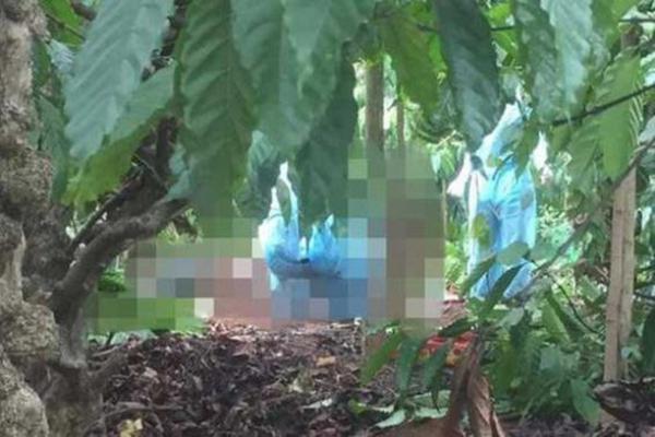 Bắt nghi phạm giết nữ 9X rồi giấu xác trong rẫy cà phê-2