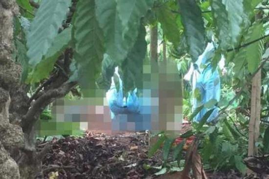 Vụ người phụ nữ bị sát hại, mất bàn tay trong rẫy cà phê: Hiện trường phát hiện thi thể là giả, toàn bộ xe máy, dây chuyền, lắc tay và tiền mặt đều mất