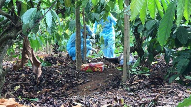 Bắt nghi phạm giết nữ 9X rồi giấu xác trong rẫy cà phê-1