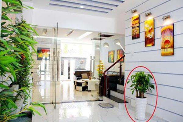 Cuối năm dọn nhà theo cách này để mở cửa đón lộc, tiền bạc rủng rỉnh cả năm-1