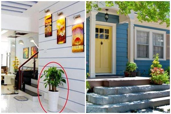 Tử vi thứ Năm ngày 2/1/2020 của 12 con giáp: Dần nhiều người theo đuổi, Thìn dự báo thăng tiến-5