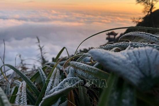 Miền Bắc sẽ rét đậm, rét hại vào nửa cuối tháng 1
